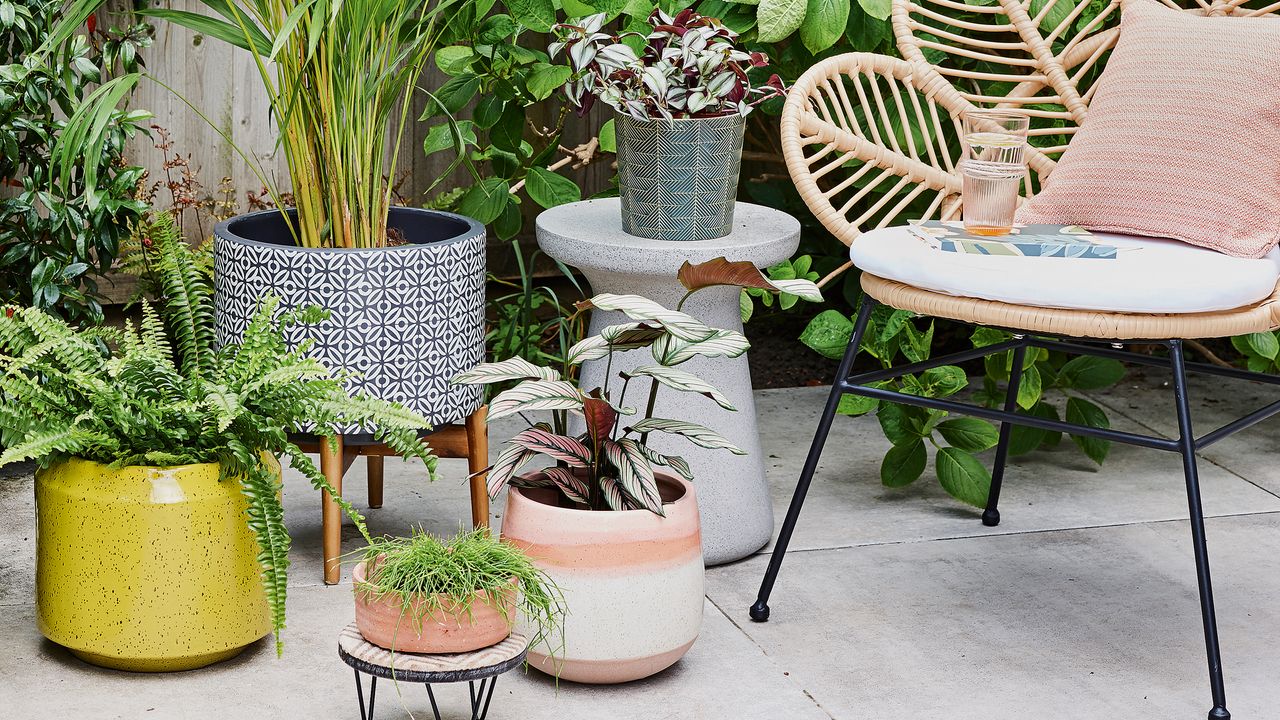 Grey patio paving slabs with an assorted collection of potted plants in varying sizes next to a wicker chair with black metal legs