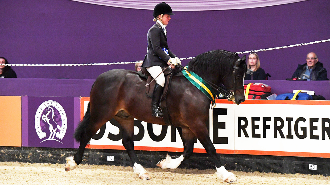 MM-Ridden-_HOYS_PN19_146910-1-1.jpg