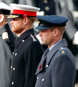 Prince William and Prince Harry in military uniform