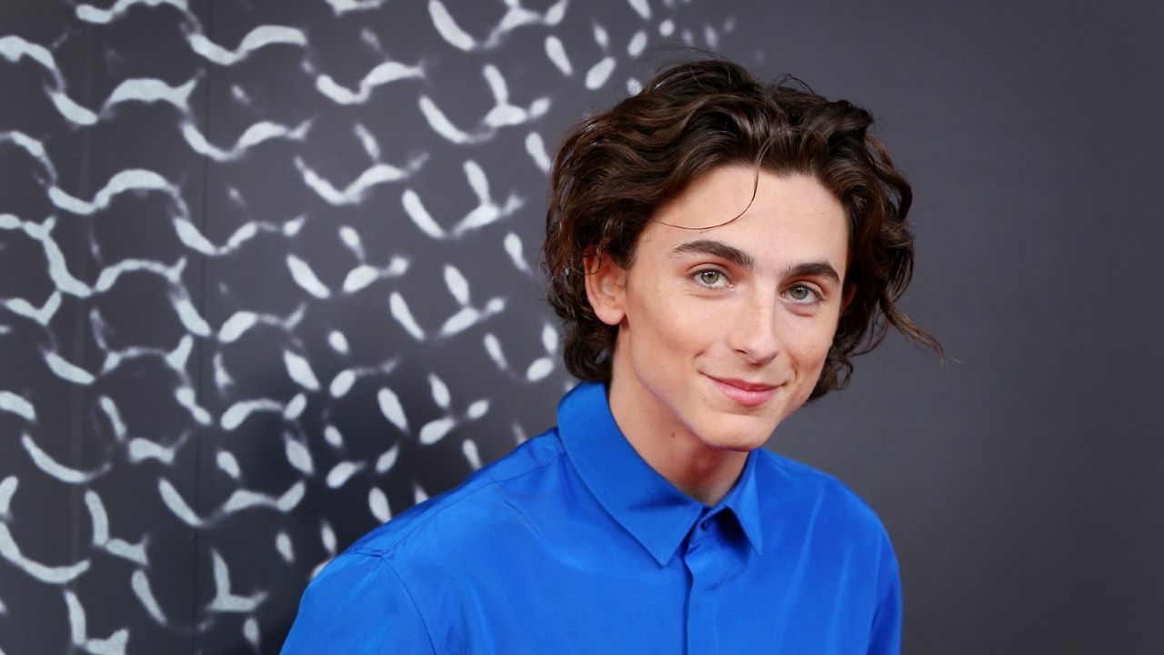 Timothée Chalamet