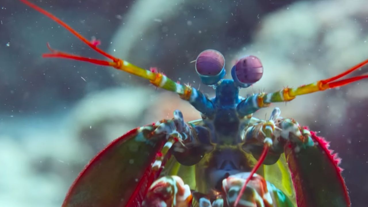 Our Oceans
