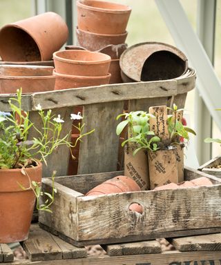 terracotta flower pots in a potting shed
