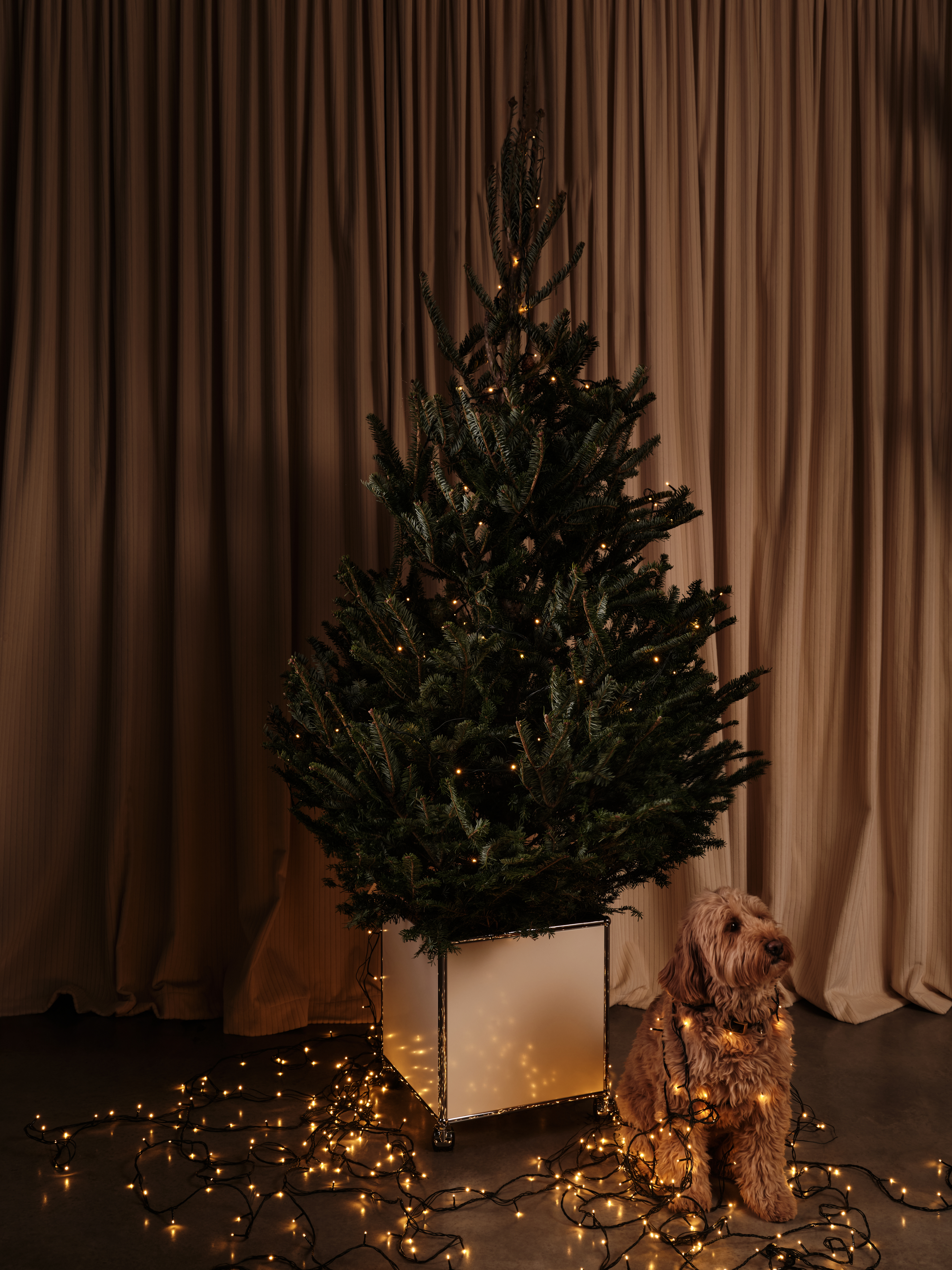 A series of shots depicting a festive Christmas tree, flowers, candles, and accessories setup.