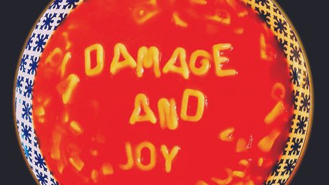 Cover art for The Jesus & Mary Chain - Damage And Joy album