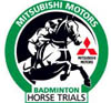 Badminton-hub-logo.jpg