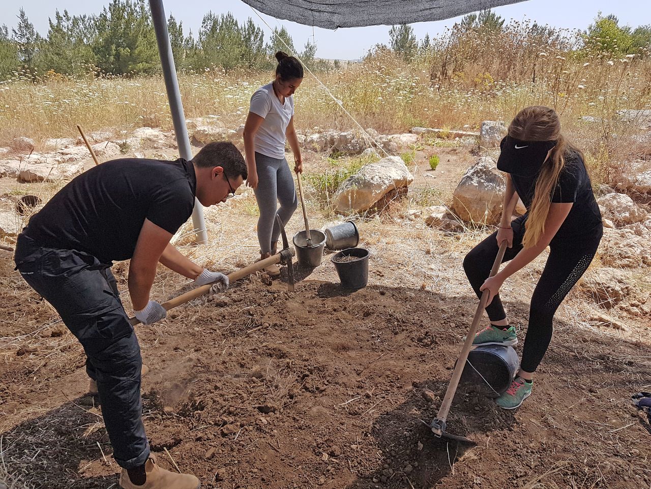 Excavators at the site