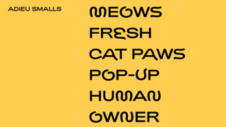 cat font