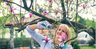 woman pruning a magnolia tree in summer