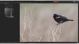 ACDSee Photo Studio 2021: Best photo editing software for organizing images