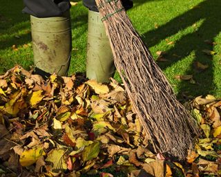sweeping up leaves with a large broom