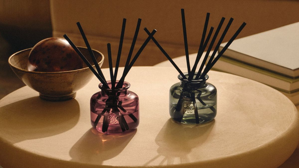 Redius Diffuser Reed Diffusers vs Electric Diffusers — Experts Debate | Livingetc
