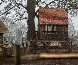 The Beckham's Cotswold estate - treehouse