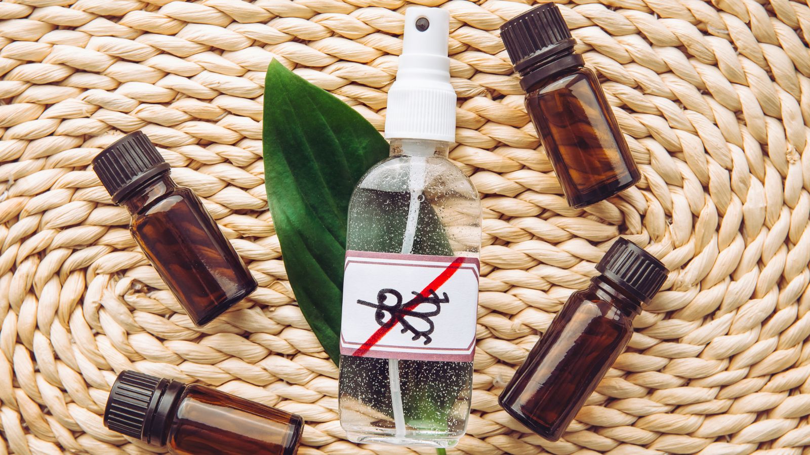 How to Make Your Own Natural Insect Repellent