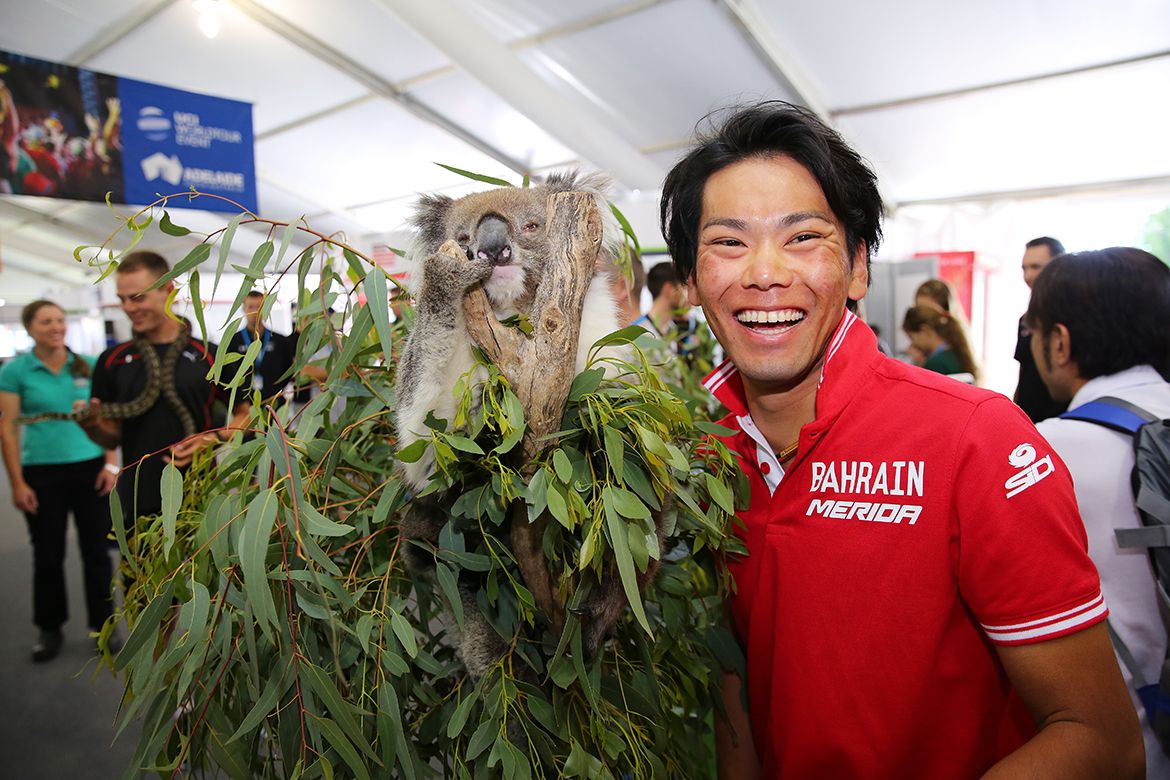 Yukia Arashiro is happy to see this koala
