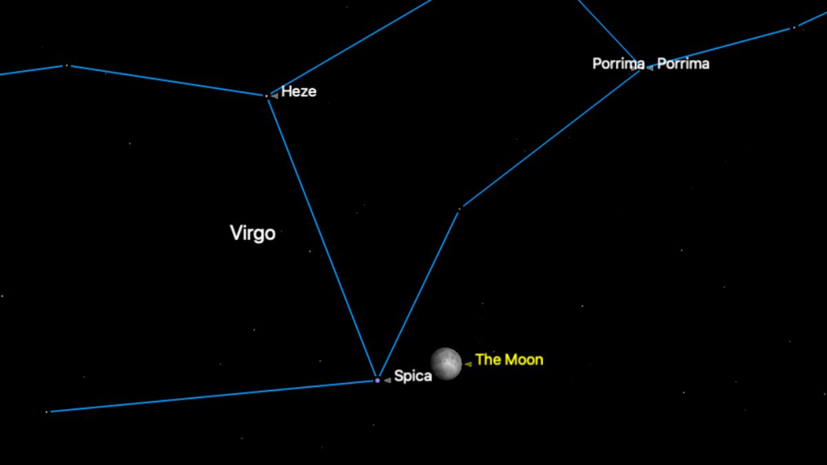 A graphic in which the moon is pictured close to the bright star spica. A section of the constellation Virgo close to Spica is shown with a blue line joining its stars. The location of the prominent star Porrima is labelled in the upper right of the image, while the star Haze is labelled in the upper left.