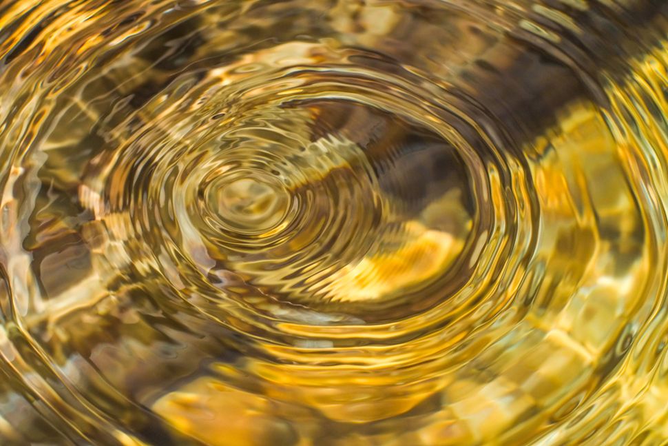 Scientists Reverse Time Inside a Quantum Computer | Live Science