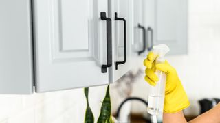 Woman cleaning kitchen handles