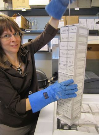 Phaff Yeast Collection, Each box contains vials, each vial contains a single strain of yeast. Curator Kyria Boundy-Mills checks each vial every five years to make sure there are still enough live cells inside. She is an enthusiastic ambassador for the fun