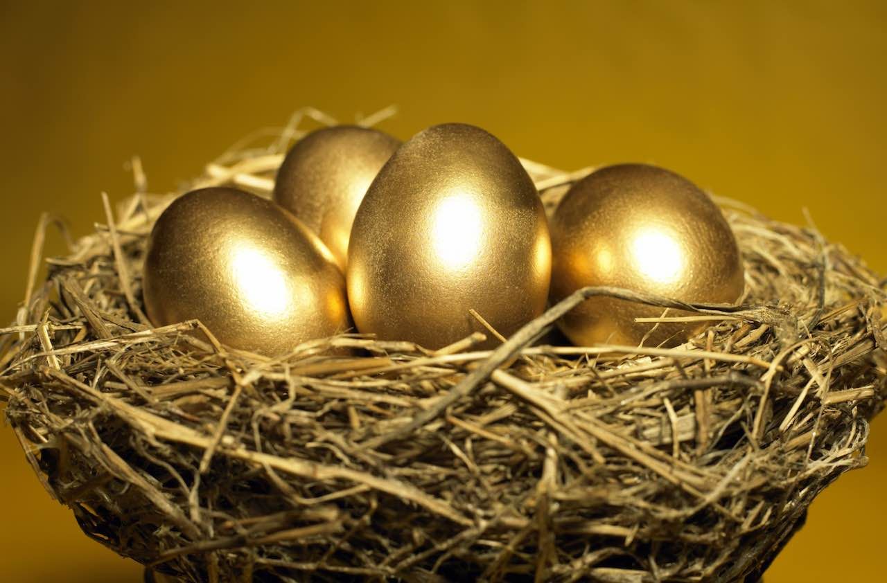 Golden eggs in nest