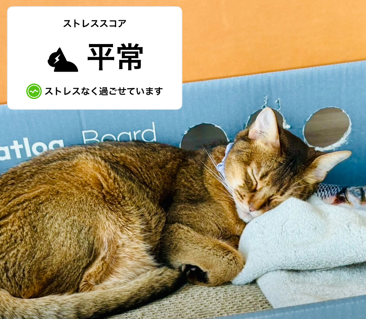 Catlog AI-powered smart collar
