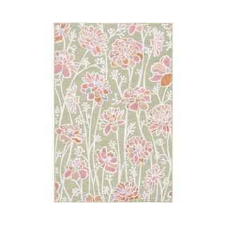 Wayfair pink and green rugs