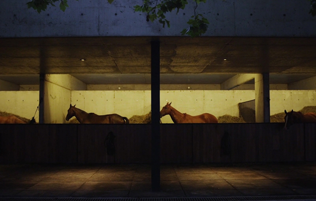 There is stabling for 44 ponies in total, designed with privacy as a priority
