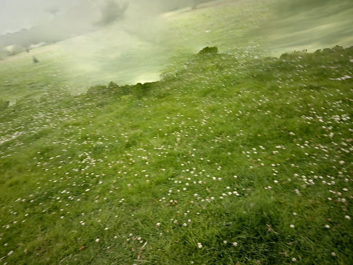 Here is what happens with any movement while using the HDR mode, rock-steady hands are required for usable shots.