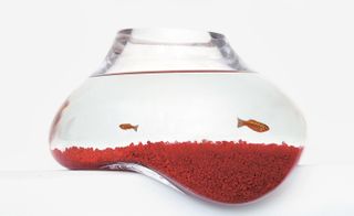 There are two red fish in the fish tank
