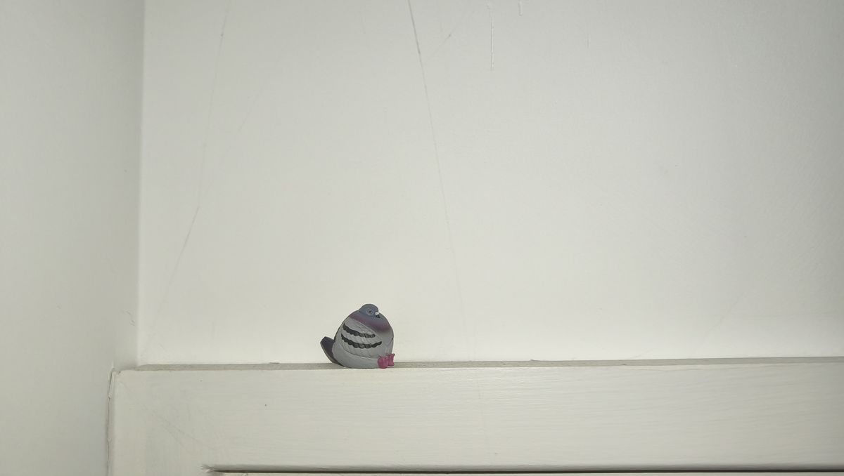 Photos taken on the Xiaomi Redmi Note 15 Pro 5G: pigeon figure captured in low-light indoors