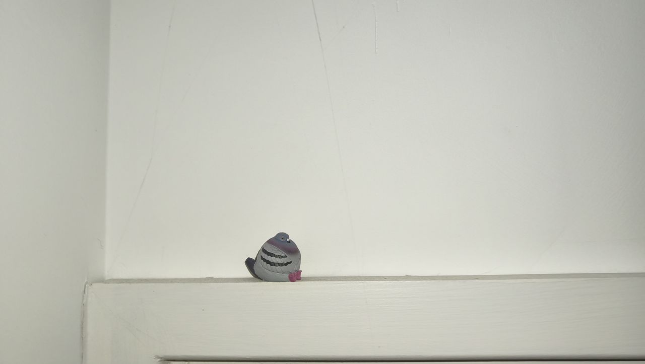 Photos taken on the Xiaomi Redmi Note 15 Pro 5G: pigeon figure captured in low-light indoors