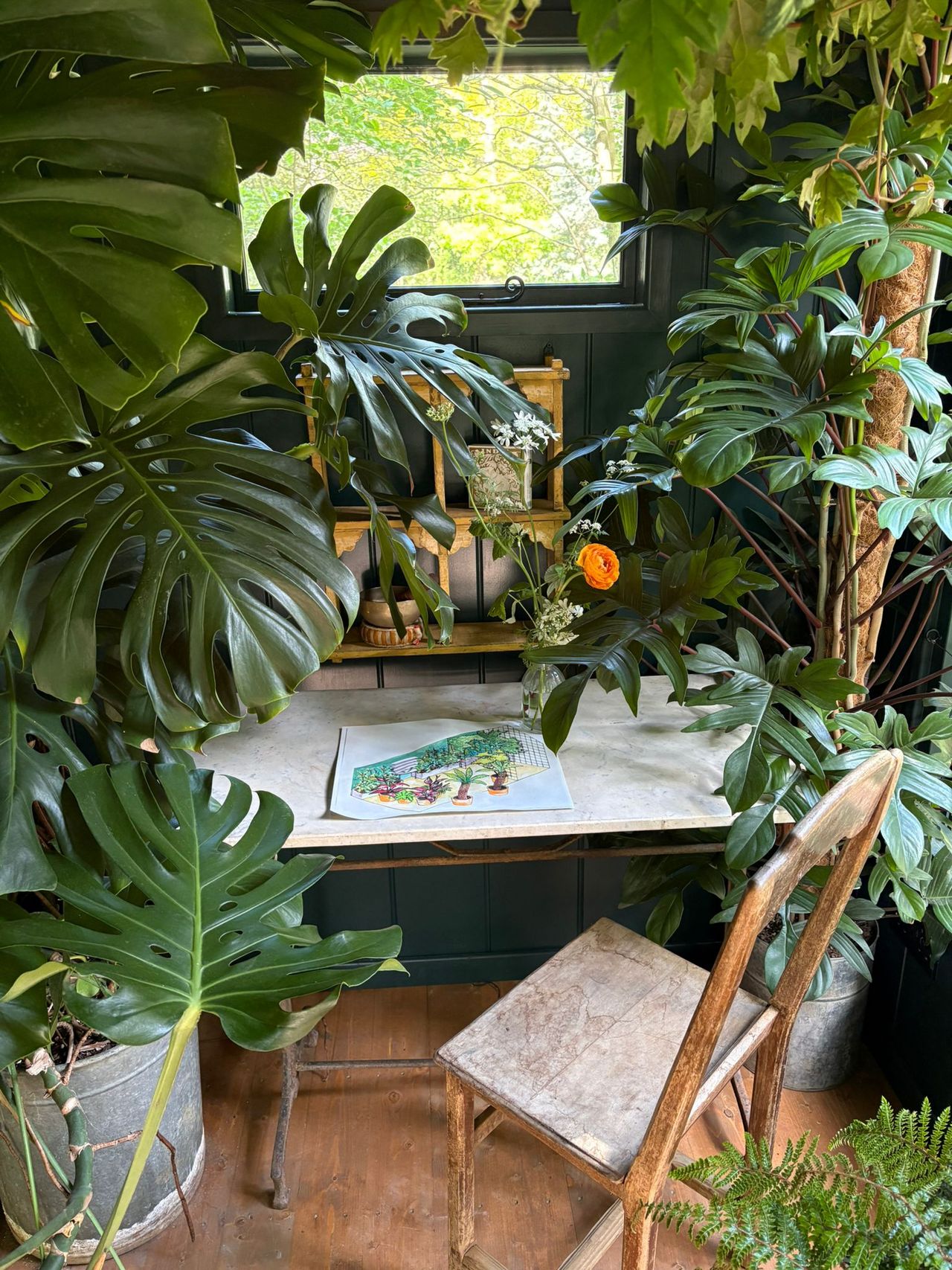 view of the interior of Petersham Nurseries stand at RHS Chelsea