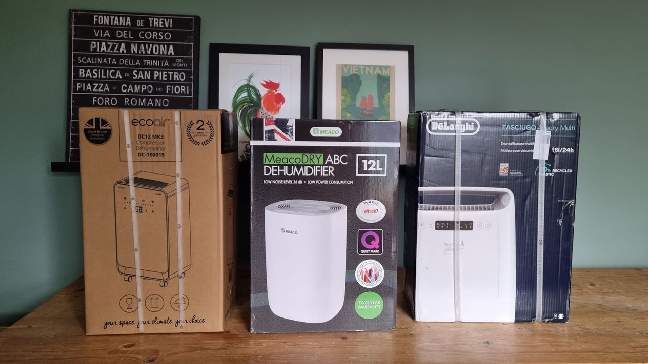 EcoAir DC12 MK3 lined up with delonghi and Meaco models