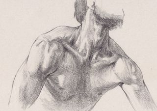 How to draw neck and shoulders: 13