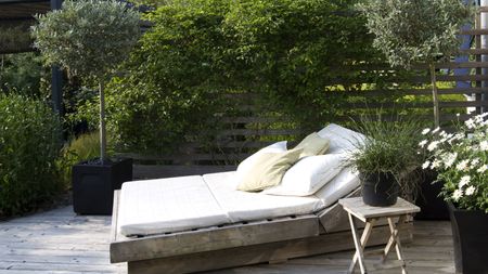 backyard with daybed and privacy screening planting