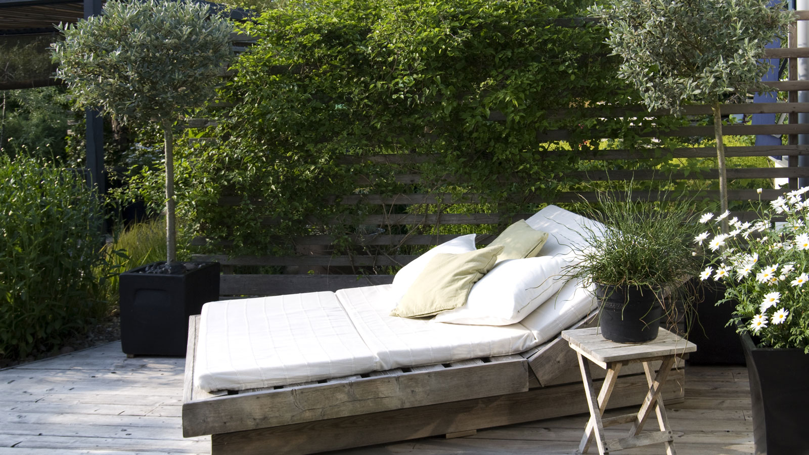 backyard with daybed and privacy screening planting