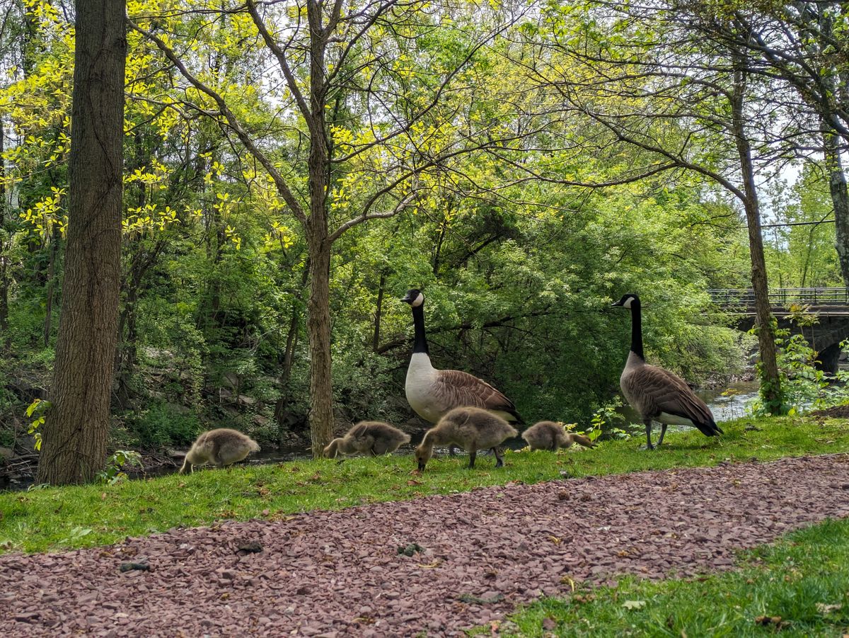 Google Pixel 7a image samples from camera