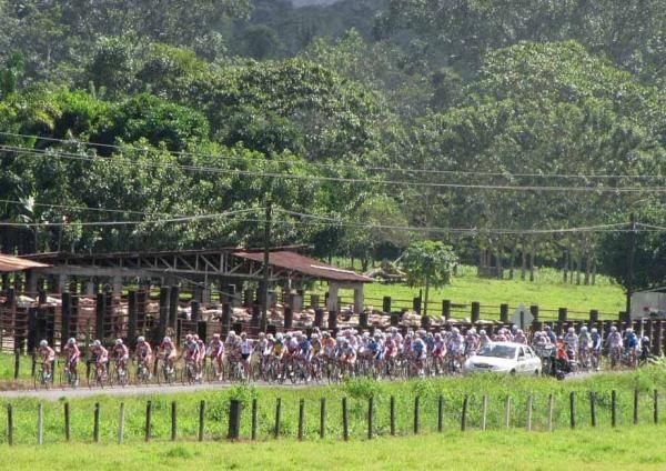 The peloton stays tightly packed on stage three