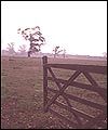 34A1A44F-6C5A-4FED-A45F-3F1C7279A573.jpg