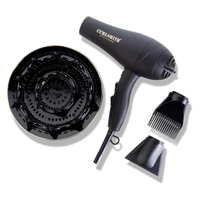 Curlsmith Defrizzion Hair Dryer