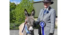 Redwings-Show-2019-Reserve-Supreme-Champions-Diana-Dunstan-and-Perehill-Tia-1-1.jpg