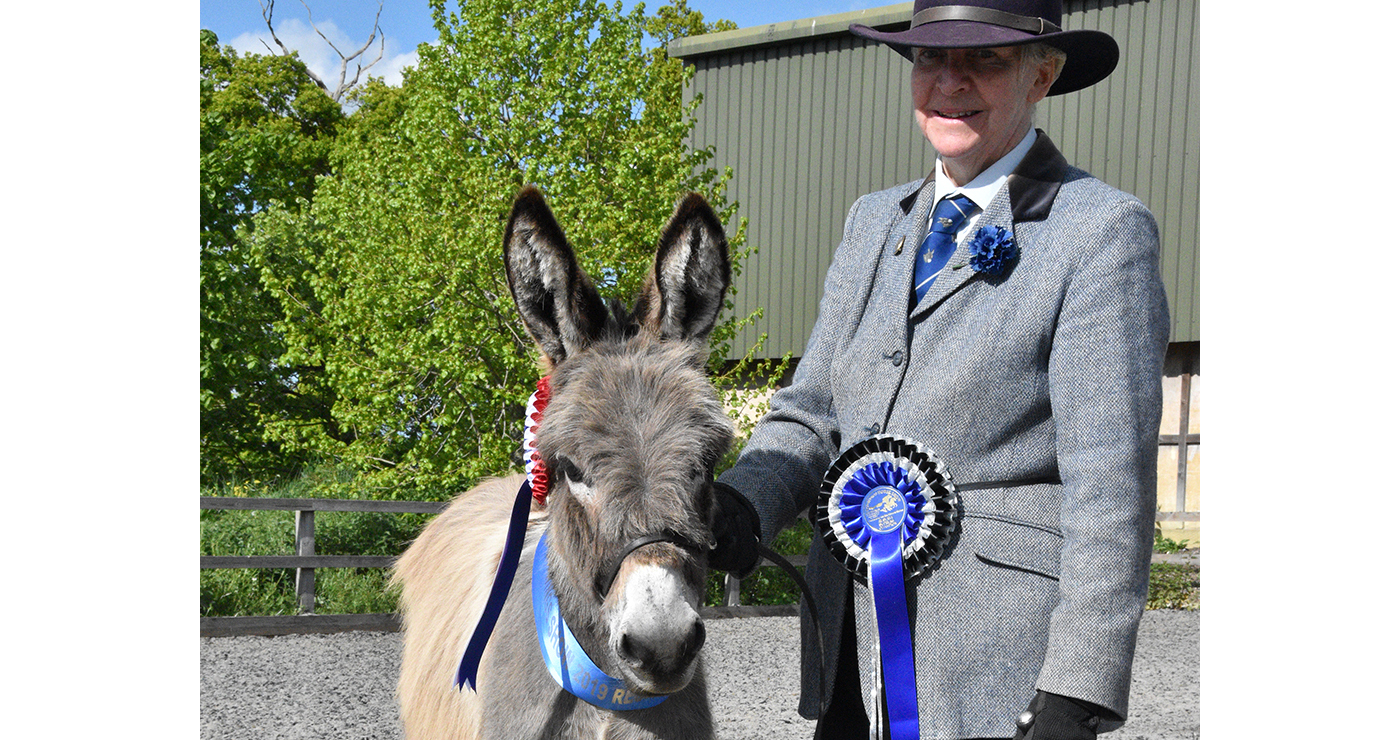Redwings-Show-2019-Reserve-Supreme-Champions-Diana-Dunstan-and-Perehill-Tia-1-1.jpg