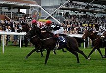 Newbury-racing1.jpg