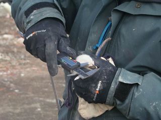 Researchers measure the beak of a chinstrap penguin on Deception Island.