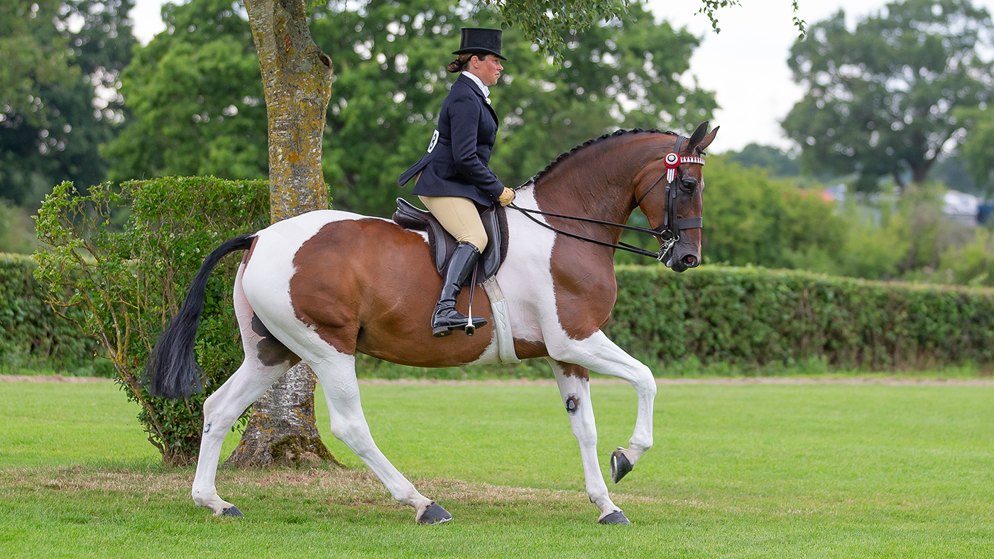 Showjumping. Showing. Equestrian. July 23rd 2024 ~ MANDATORY Credit Elli Birch/Bootsandhooves- NO UNAUTHORISED USE - 07745909676