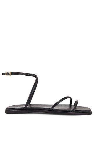 Zola Sandal