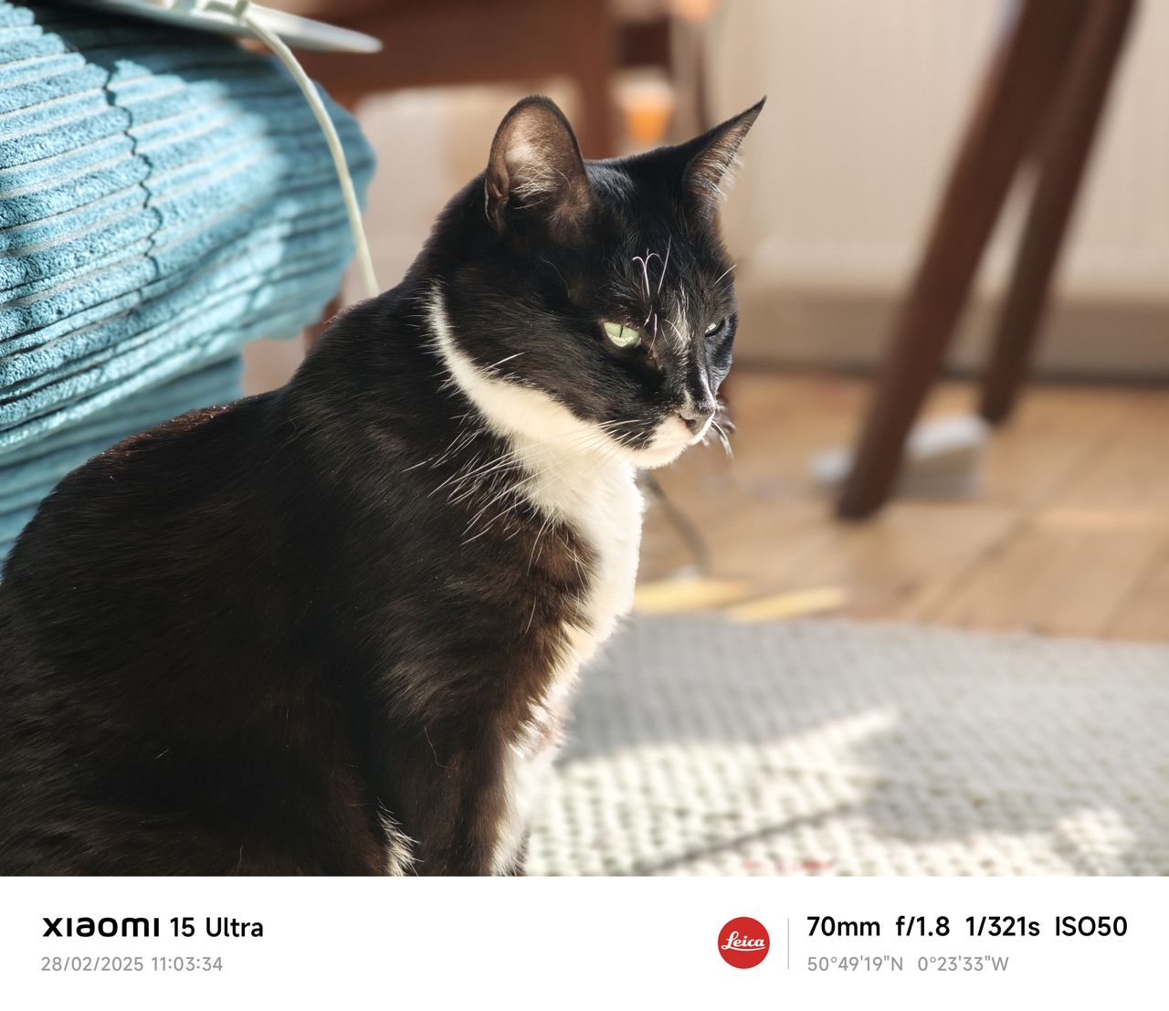 Xiaomi 15 Ultra camera sample portrait default sub10