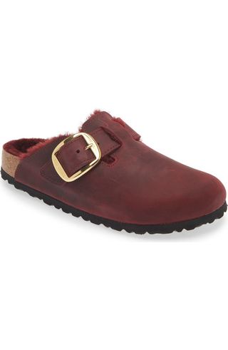 Boston Big Buckle Genuine Shearling Lined Clog