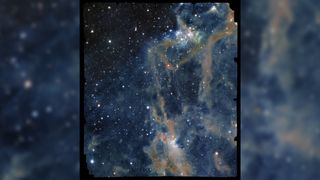 The focus of the image is a portion of LDN 1641, an interstellar nebula in the constellation of Orion. In this view, a deep-black background is sprinkled with a multitude of dots (stars) of different sizes and shades of bright white. Across the sea of stars, a web of fuzzy tendrils and ribbons in varying shades of orange and brown rises from the bottom of the image towards the top-right like thin coils of smoke.