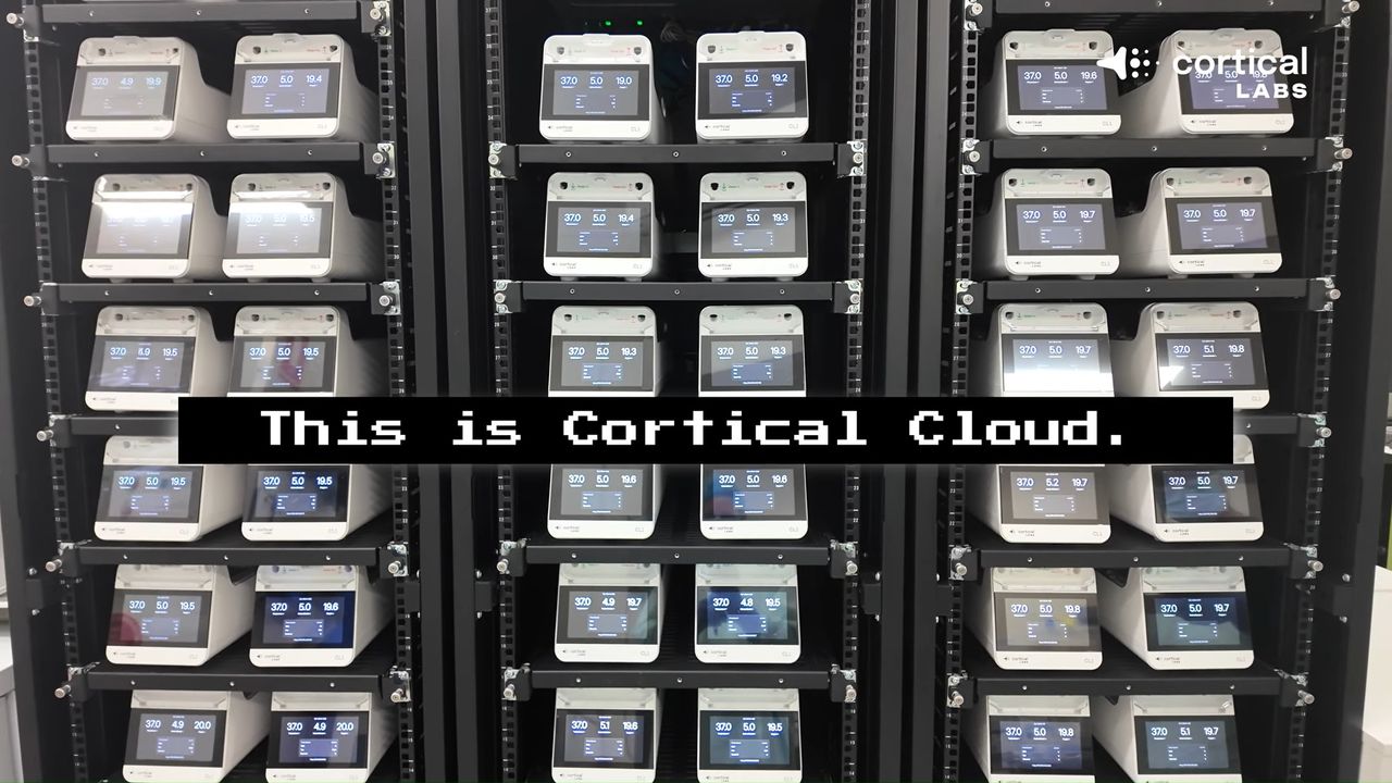 Cortical Labs CL1