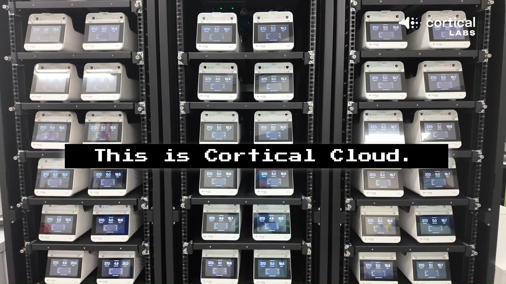 Cortical Labs CL1